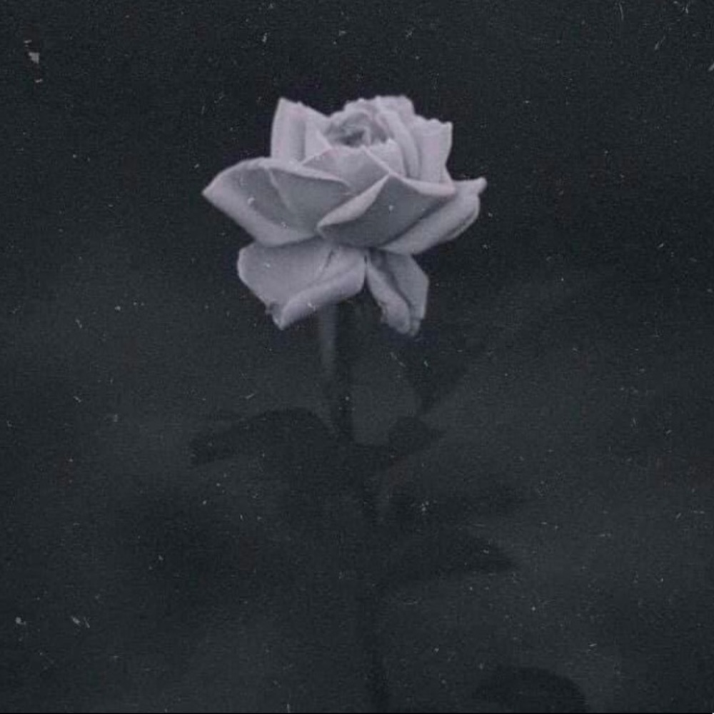 Meet your Posher, Melinda